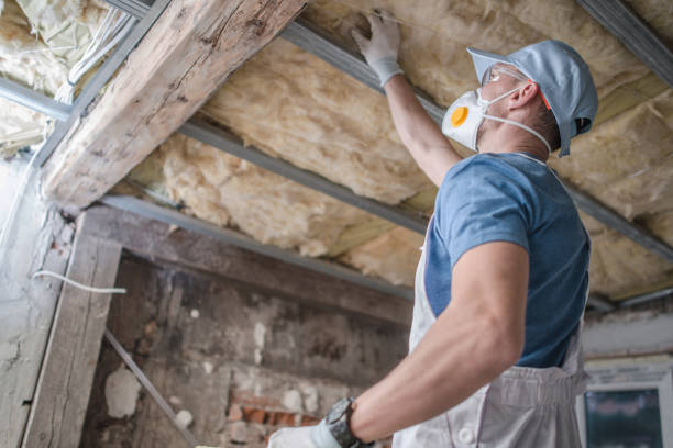 Best Soundproof Insulation Installation  in Fulton, TX